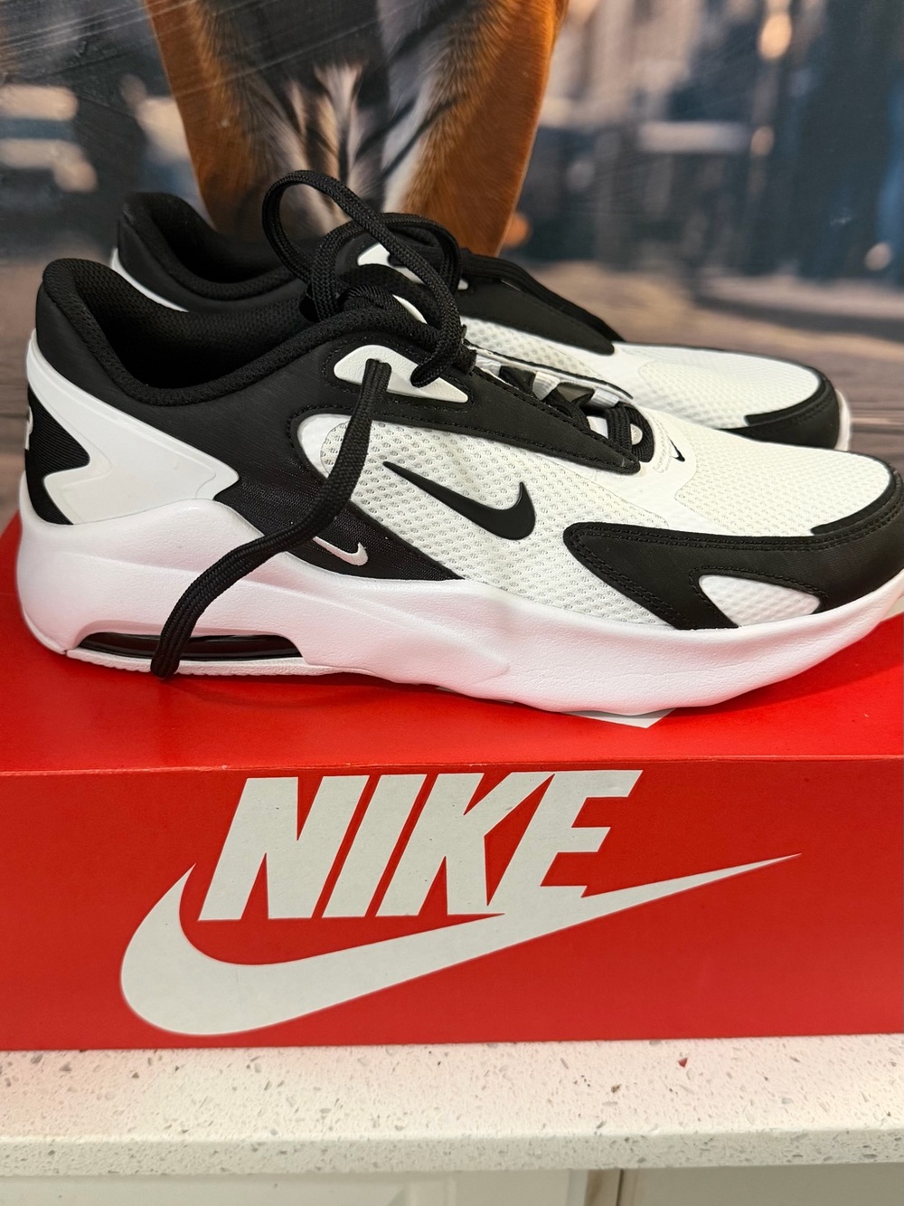 Nike Black and White Low-Top Mesh Sneakers